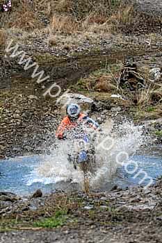 IMG_9987